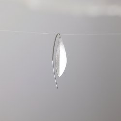 rebjler | Slv, lille blad