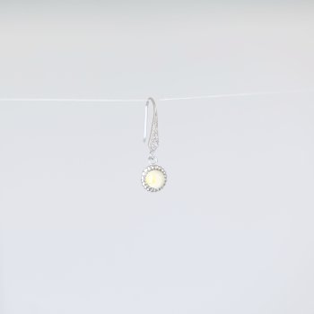 Hestetand I Mynte rekroge