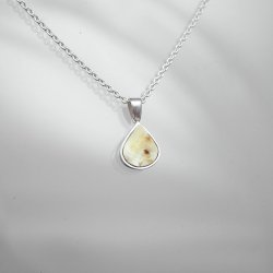 Hestetand | Lille drbe