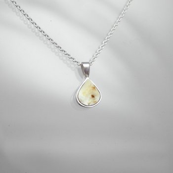 Hestetand | Lille drbe