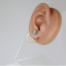 Hestehov I Lrke restikker