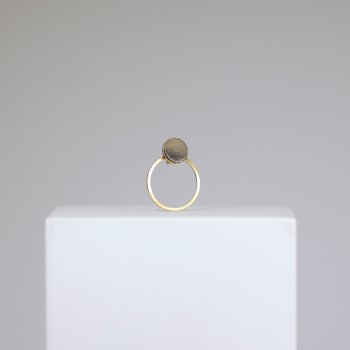 Hestehov I Lrke restikker