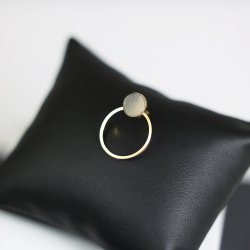 Hestehov I Lrke restikker