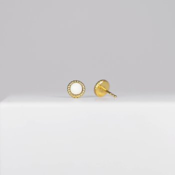 Hestetand I Mynte restikker