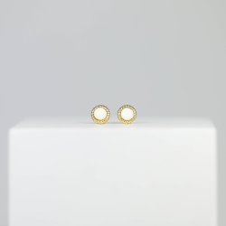 Hestetand I Mynte restikker