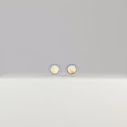 Hestetand I Mynte restikker