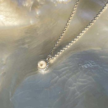 Hundetand | Mynte halskde med hundetand